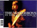The Waterboys : Is She Conscious ?